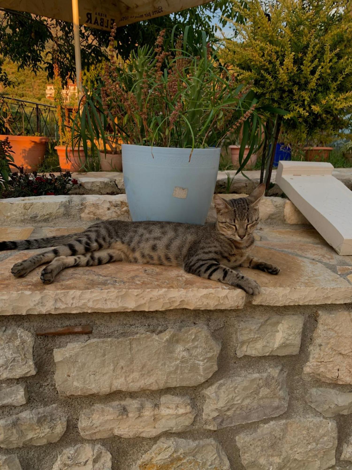 Vourtaréa Guesthouse Himare Esterno foto